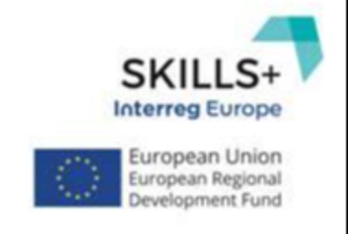 Eredményesen zárult a 12 nemzetközi partner részvételével megvalósuló SKILLS+ projektünk Eredményesen zárult a 12 nemzetközi partner részvételével megvalósuló SKILLS+ projektünk