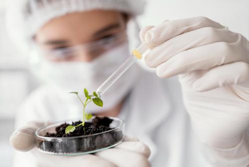 Fenntarthat�s�g: Ausztri�val k�z�s kutat�si projektekre nyert el t�mogat�st a Sz�chenyi Istv�n Egyetem